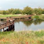 las tablas de daimiel (ciudad real)